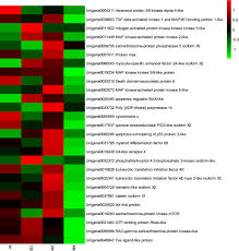 I am licensed by the state of california. Immunity Related Genes And Signaling Pathways Under Hypoxic Stresses In Haliotis Diversicolor A Transcriptome Analysis Scientific Reports
