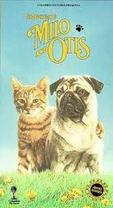 Pictures Photos From The Adventures Of Milo And Otis 1986 Milo And Otis Otis Kids Movies