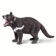 Tasmanian devil, stocky carnivorous marsupial with heavy forequarters, weak hindquarters, and a large squarish head. Tasmanian Devil Wildlife Animal Toys Safari Ltd