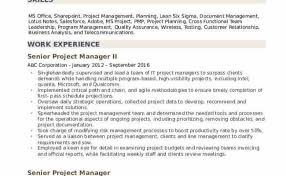 Recommended knowledge, skills, and abilities knowledge of computer programs such as microsoft office, scheduling software, internet, and project management. Senior Project Manager Resume Sample Example References Job Description Management Planning Cute766