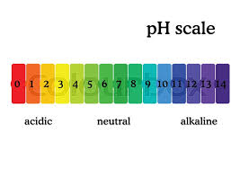 Ph Scale Diagram With Corresponding Stock Vector