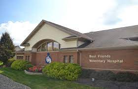 Our team is dedicated to the health and care of your pet. Best Friends Veterinary Hospital Powell Columbus Ohio