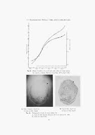 成長並びに系統に 関する研究