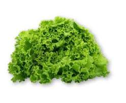 Image result for Lettuce Green 1977 Hussmann