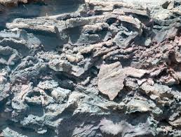 نتیجه جستجوی لغت [solidified] در گوگل