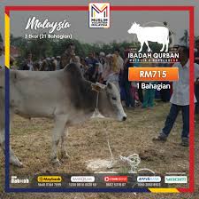 Dibolehkan berniat ketika wakilnya menyembelih korban dengan disaksikan oleh. Kembara Ibadah Qurban Malaysia 2019 Muslim Volunteer Malaysia Mvm