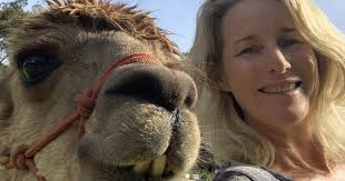 I'm the black sheep of the family, alpaca my bags now