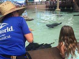 Free classes for kids near me. 50 Things To Do With Kids In San Diego 20 Are Free