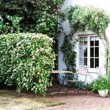 Advice on how to grow your own trained trees from first principles. Espaliered Fruit Trees The Perfect Solution For Small Spaces The Middle Sized Garden Gardening Blog