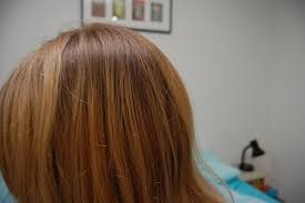 Powered by a 60% oil blend formula with natural flower oils, olia propels colorants deep into the hair, giving you vivid. Garnier Olia Hair Dye In 8 0 Blonde Review Cmk By Jayne Kitsch