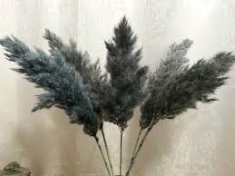 Grey Blue Colored Pampas Grass Long Plumes One 1 Stem Price Dried Reeds Wedding Decor Dried Pampas G Dried Flowers Pampas Grass Flower Vase Arrangements