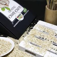 We did not find results for: Quinoa Bianca Bio Integra Al 100 Farina Di Quinoa Ricette