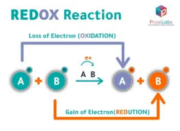 Image result for Redox Reaction