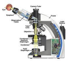 More images for field iris diaphragm microscope » Kohler Illumination