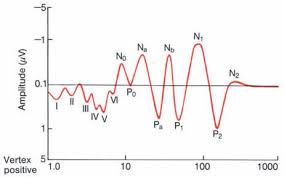 Image result for Higher Integrative Function