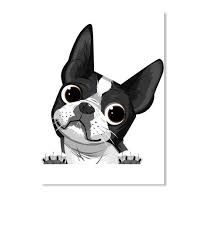 Black And White Boston Terrier Cartoon Boston Terrier Sticker 01 White Sticker Front Boston Terrier Art Illustrations Boston Terrier Art Boston Terrier Tattoo
