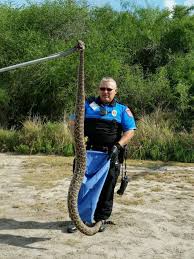 Image result for photo of people in church with rattlesnakes
