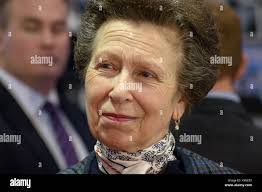 Anne Neil's Instagram, Twitter & Facebook