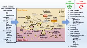 Broadway, blythe, ca 92225 palm springs 3255 e. Frontiers Involvement Of Lipids In Alzheimer S Disease Pathology And Potential Therapies Physiology