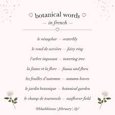 Pin By R A Z Z On Etiquette In 2020 Aesthetic Words French Words Pretty Words