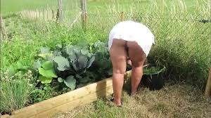 Mamies Sodomie Porn Videos | xHamster