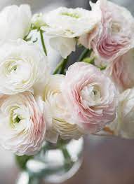 If you are looking for a flower that is almost identical to a rose though, it would be the camellia japonica. 10 Beautiful Flowers That Look Like Roses Bloom Wild