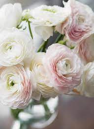 I found that garden roses have a very similar look and come in a variety of colors, including very pretty shades of pink. 10 Beautiful Flowers That Look Like Roses Bloom Wild