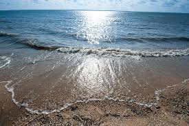 Great Beach Shot At Lake Texoma By A Realtor Lake Texoma Lake Oklahoma Usa