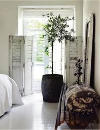 Browse Indoor Gardens Gardenista Shabby Chic Living Room Chic Living Room Indoor Olive Tree