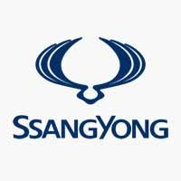 Image result for Navy Blue 1995 SsangYong