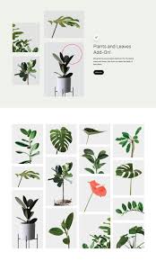 Pin On Botanical Design