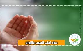 كيف احملو على اللاب توب بتاعي ارجو الرد بسرعه وشكرا. Ø¯Ø¹Ø§Ø¡ Ù„Ø¬Ù„Ø¨ Ø§Ù„Ø­Ø¨ÙŠØ¨ Ù…ÙƒØªÙˆØ¨ Ø£Ù‚ÙˆÙ‰ Ø£Ø¯Ø¹ÙŠØ© Ø¬Ù„Ø¨ Ø§Ù„Ø²ÙˆØ¬ Ø¨Ø³Ø±Ø¹Ø© Ù…Ø¬Ø±Ø¨