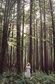Photography Quotes Pdf Off Animal Photography Hashtags Our Photography Tattoos Forest Photography Forest Photos Nature Photoshoot