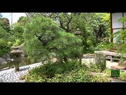 Japanese Garden Narimasu Tokyo Japanese Garden Japanese Garden Design Garden Japanese