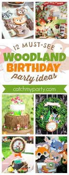 Woodland animal party tableware supplies set including banner plates cups table cover and napkins, serves 20 guests for woodland forest friends theme party baby shower birthday decorations. 12 Must See Woodland Birthday Party Ideas Catch My Party