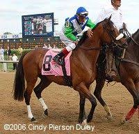 2006 Kentucky Derby Results