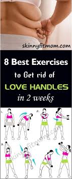 Pin On Love Handle Workout