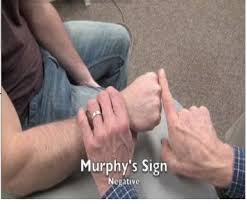 Image result for Murphy Sign