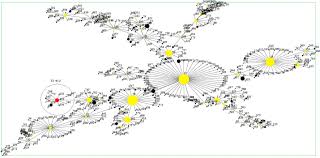Enterococcus is a large genus of lactic acid bacteria of the phylum firmicutes. Vancomycin Resistant Enterococcus Spp From Crows And Their Environment In Metropolitan Washington State Usa Is There A Correlation Between Vre Positive Crows And The Environment Sciencedirect