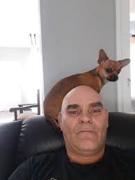 HAVE YOU BEEN LEFT HOME ALONE FOR MORE THAN 10 MINUTES? YOU HAVE RIGHTS.  CALL THE PAWFIRM OF ACO, TREAT AND GOODBOY (888)-NOT-ALONE