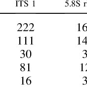 Image result for Sium repandum