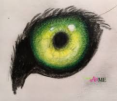 Emphasis Animal Eyes Spot Color Drawing Graphite And Colored Pencil Drawing Project Color Pencil Drawing Eye Drawing Colorful Drawings