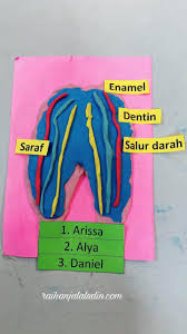 Pěkná mengulangkaji mata pelajaran sains ini sebagai persediaan untuk menghadapi peperiksaan sekolah, pt3 atau spm. Contoh Projek Aktiviti Mudah Sains Raihan Jalaludin S Blog