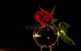 Pink rose wreath, rose, pink rose border frame, watercolor rose, red rose, image file formats, leaf, plant stem png. Beautiful Valentines Day Red Roses On Top Of Crystal Ball Stock Image Image Of Care Crystal 136843353