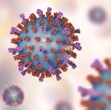 Respiratory syncytial virus (rsv) is a major cause of respiratory illness in young children. What Is Rsv Cdc Says Respiratory Syncytial Virus On The Rise
