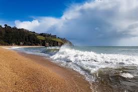 South Devon Area Of Outstanding Natural Beauty Nature Walks Events