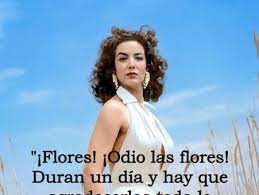 María félix, la primera gran diva hispana estaría hoy cumpliendo 100 años, impactándonos a todos con su belleza, su talento y sus frases lapidarias, que. 25 Frases De Maria Felix Para Elevar Tu Autoestima Hasta El Cielo Actitudfem