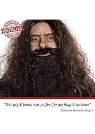 ALLAURA Brown Wizard Wig and Beard Set