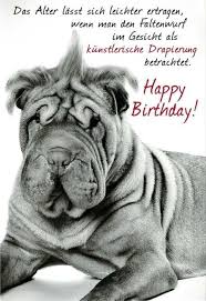 Geburtstag Geburtstagswunsche Witzig Spruche Geburtstag Lustig Alles Gute Geburtstag