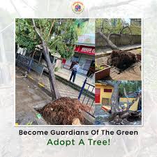 Tree pit trio sat in the studio jamming towards the. à¤® à¤ Mumbai à¤†à¤ªà¤² Bmc On Twitter Let S Recover Our Cover Join The Adopt A Fallen Tree Pit Initiative Adopt A Tree And Help Us Revive The Green Cover Of Mumbai Which Was